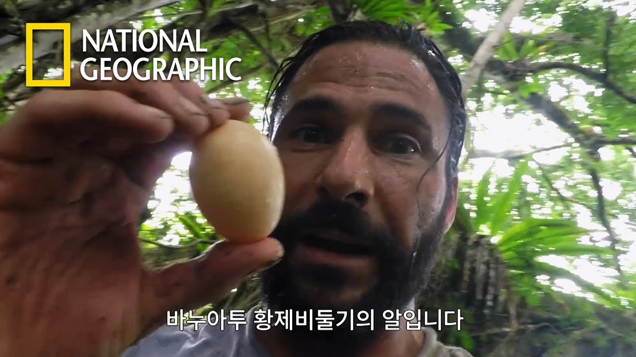 비둘기알때문에 높이 18M의 나무를 올라간 헤이즌 아델｜맨 인 더 와일드