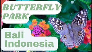 Butterfly park Bali, Indonesia