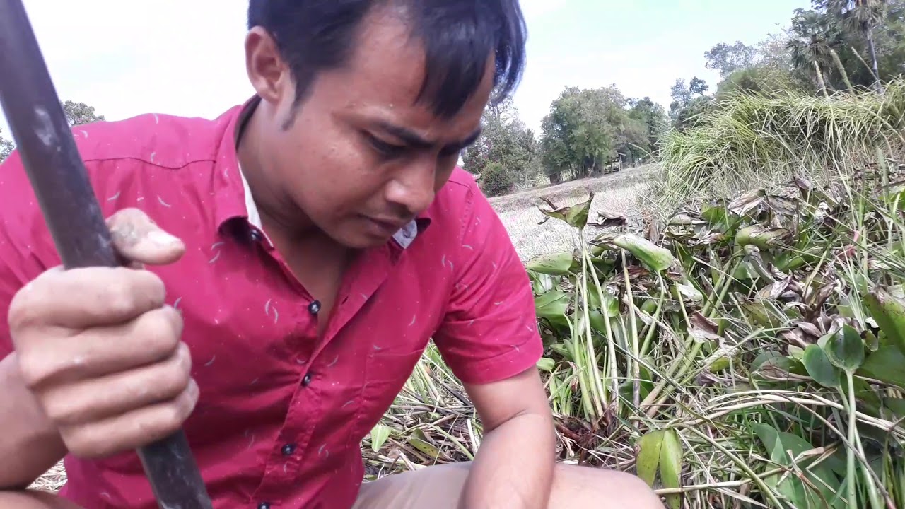 ยามเบ็ดปลาไหล ตะลึง!กับไซส์ขนาดนี้ บักเอ้บบบบบ! 1/2.