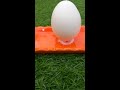 Egg Experiment 🤣🤯 Kirikalan Magic show 😜😜#shorts #trending #youtubeshorts