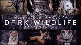 Dark Wildlife - Lightroom Mobile Preset DNG | Free Download | Wildlife Photoshoot Preset | Tutorial screenshot 5