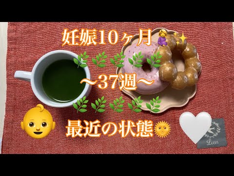 【妊娠10ヶ月】~37週~残りわずかになって来た妊婦健診後のご褒美day😋