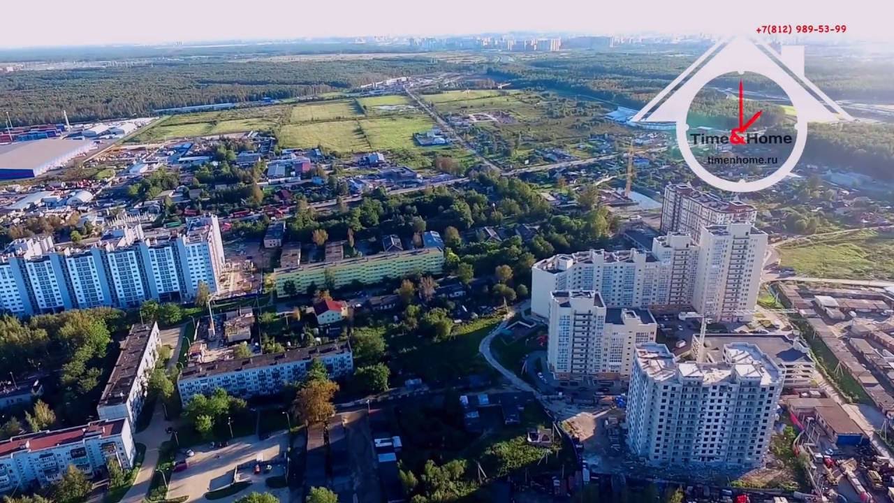 Мир газели в янино