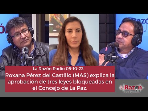 Roxana Pérez del Castillo (MAS) explica aprobación de tres leyes bloqueadas en el Concejo de La Paz.