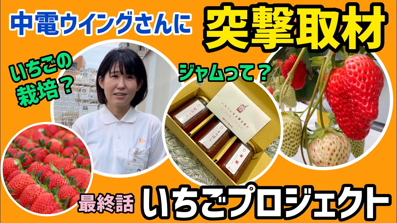 アクポニとアグリ王、「1.5倍甘いイチゴ」を周年栽培できる