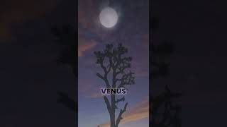 YOU CAN SEE VENUS TONIGHT!