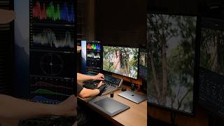 Color grading and chill #colorgrading