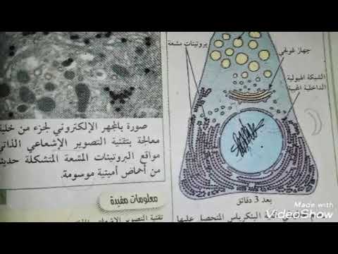 حل نشاط 1و2 ص 12 من كتاب العلوم طبيعية 3 ثانوي شرح مبسط منهجية الإجابة حل وثائق 1 و2 من كتاب العلوم