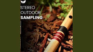 Stereo Ambience Explorer