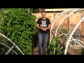 The Easiest Way to Compost Garden Waste (How to)