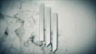 2014 Remake | Skrillex - The Reason (Visuals By: Elit3~)