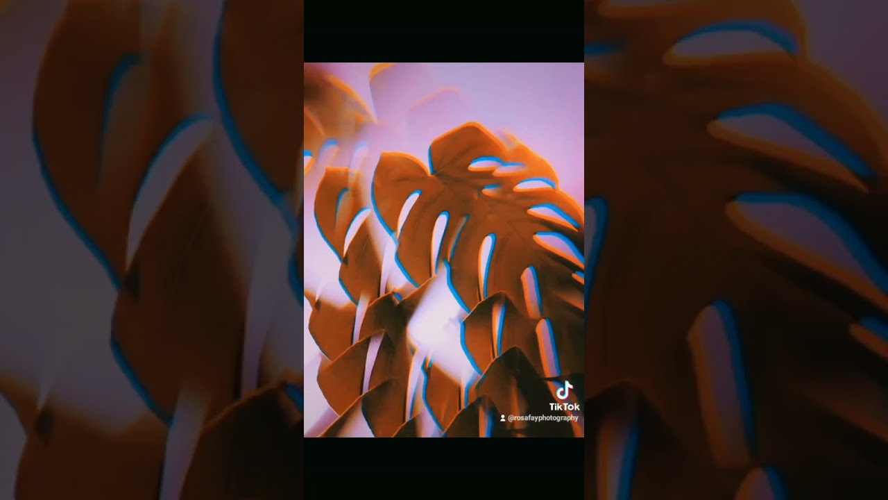 How To: Easy Abstract Photography With Your Phone Camera