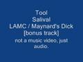 Tool - Maynard's Dick