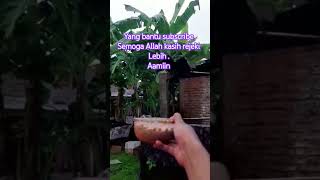 MENGASIH MAKAN GAGAK #shortvideo  #viral  #gagak  #shorts