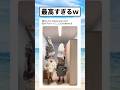 何したいかわからないけど最高なのはわかる