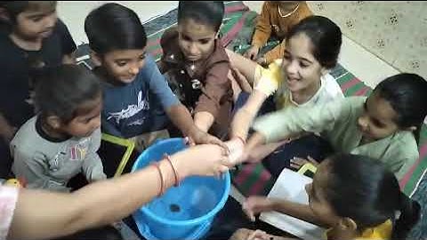 IGNOU DECE 4 Project videosECCE Course   पानी में वस्तु का तैरना और डूबने की पहचान IGNOU DECE 4 Proj