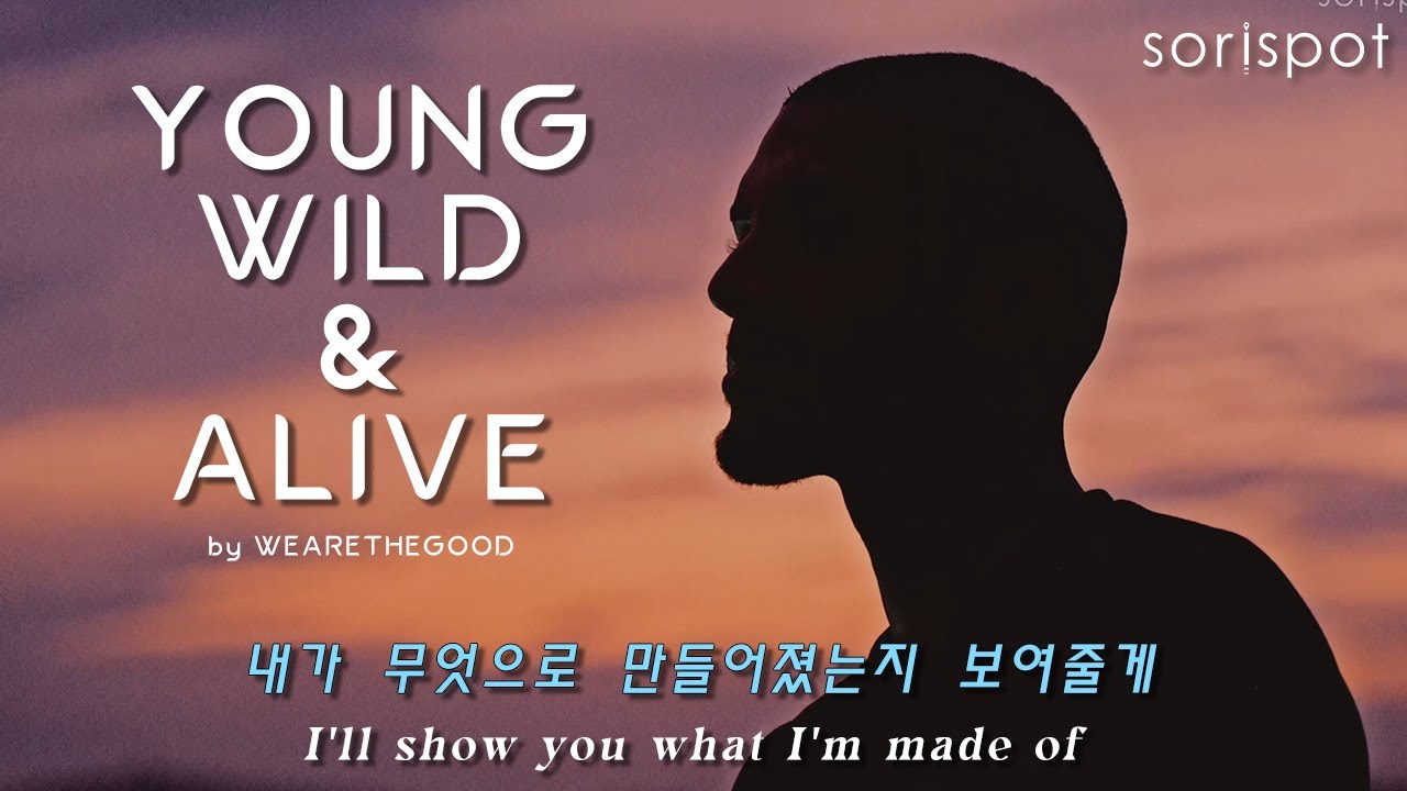[가사해석]  주먹에 힘 들어가는 노래 / 꿈을 꾸는 당신을 응원합니다 / Young Wild & Alive - Wearethegood