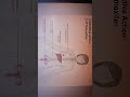 Selective Action of Tamoxifen !! #shorts #ytshorts #csirnet #biology lover