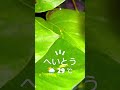 2025年7月9日
