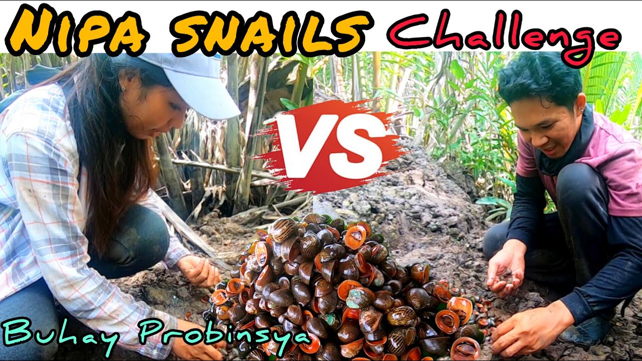 Ep.372- Paramihan kami ng nakuha, Sino ang nanalo? | Nipa snails sa tanghalian Buhay probinsya