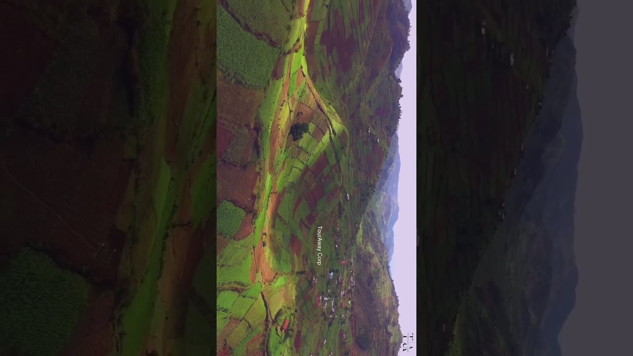 Top Resorts Booking with TourAway Corp - Your Ultimate Travel Experience!