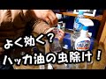 虫対策に　「ハッカ油」　スプレーを作ってみます！