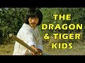 Wu Tang Collection : DRAGON AND TIGER KIDS