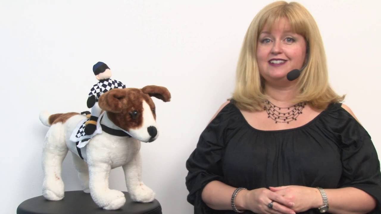 Show Jockey Saddle Dog Costume YouTube