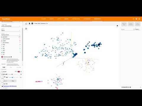 Entity Linking Model Output Layer Embedding Visualization with Tensorboard