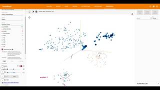 Famous Entity Linking Model Output Layer Embedding Visualization with Tensorboard Wealth