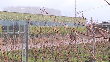 INFO - Changins : renforcé, l’Agroscope va se développer