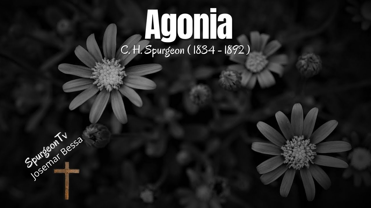 Agonia | Sermão 493 | C. H. Spurgeon ( 1834 - 1892 )