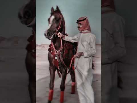 سجل يا تاريخ محمد ابو شعر عبدالله ابو شعر اغاني طرب زمن الكذب والفتن