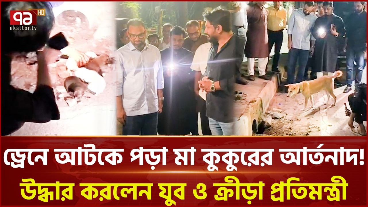 ড্রেনে আটকে পড়া অসহায় মা কুকুরকে উদ্ধার করলেন আমিনুল হক | Rescues  | Ekattor TV