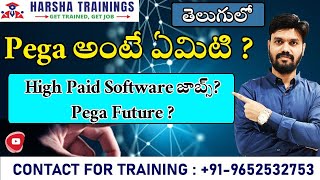 Pega అంటేఏమిటి ? | High Paid Software జాబ్స్? | Pega Future ? | PEGA Training | Telugu screenshot 3