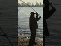 Angeln am Rhein 🎣 Ein weiter Weg bis zum perfekten Wurf