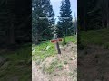 As someone who never prioritized national parks, I am now