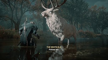 Assassin Creed Valhalla - Have You Seen This Man ??? (19)