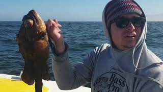 California Rock Cod Fishing Fort Bragg 2021.  SeaHawk with Capt Tim out of Noyo.