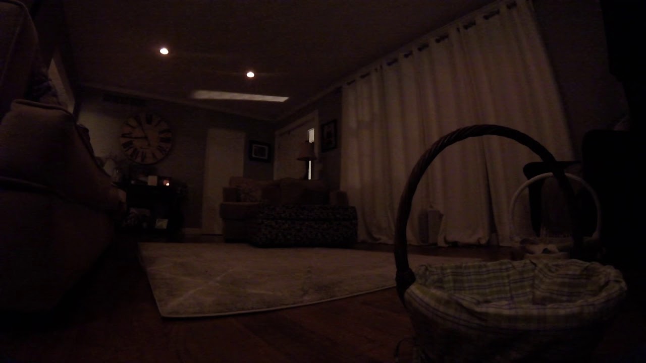 Caught Easter bunny on camera!! YouTube