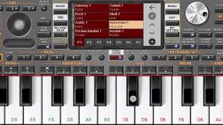 PIANO ORG 2020 screenshot 2