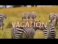 Rayvanny  vacation official music