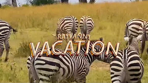 Rayvanny - Vacation (Official Music Video)