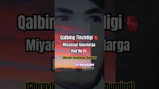 Hayotiy Va Dildagi Gaplar Bili Mamadaliev Sizning Hamrohiz