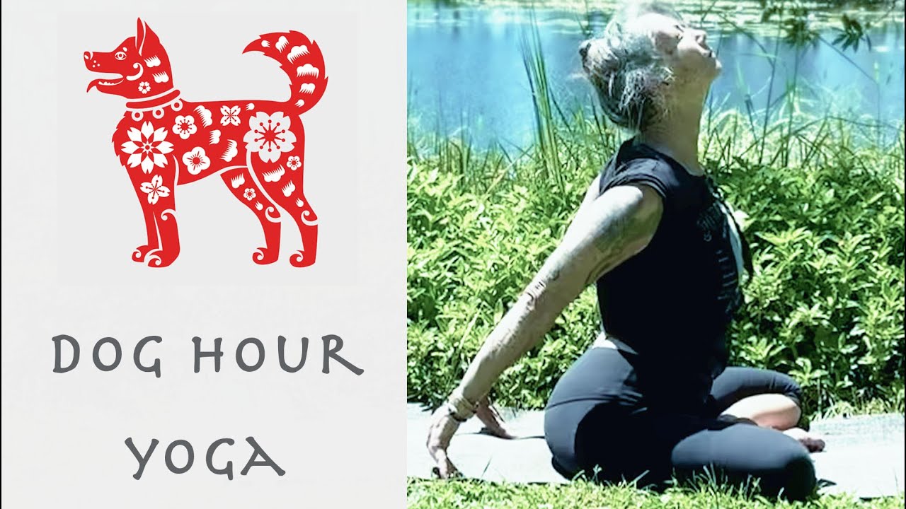 Dog Hour Yoga - Vanquish isolation & sadness, Open Love and Activate Pericardium Meridian Qi Energy