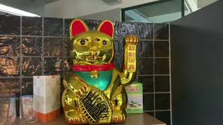 The Sequel of lucky charm fortune Chinese cat - waves you good luck!