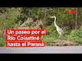🚣‍♀️🌊 El paseo por el río Colastiné hasta el Paraná: una experiencia que te acerca la naturaleza 🌅