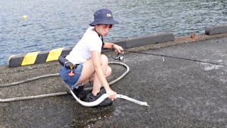 この漁港で釣れる魚一体どうなってる！？