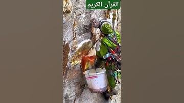 آيات من سورة النحل. #انشروا_القران #اكتب_شي_توجر_عليه #اكسبلور