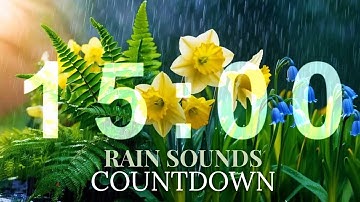 15 MINUTE TIMER: NATURE SOUNDS | RAIN SOUNDS |BIRDS CHIRPING